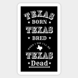 texas Pride Magnet